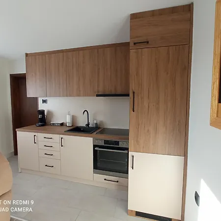 Apartment Tesla